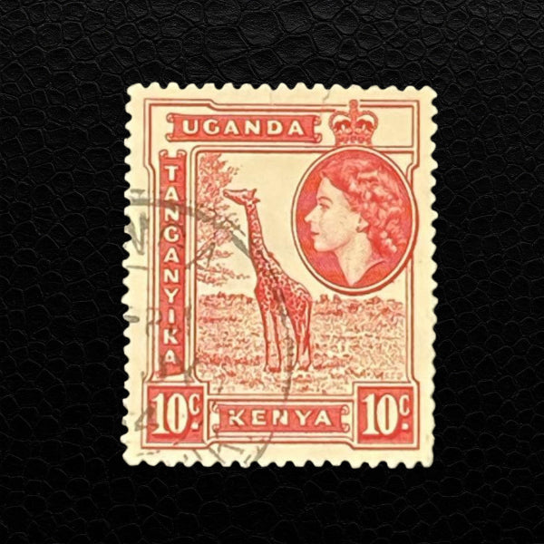 Tansania – Literatur, Kultur und Sammlerstücke aus Ostafrika
