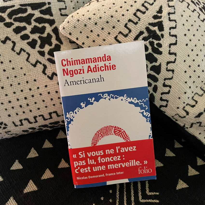 Americanah livre Chimamanda Ngozi Adichie littérature africaine contemporaine