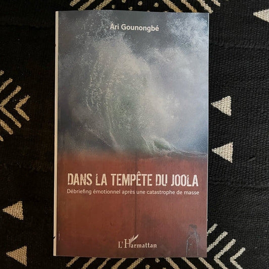Dans la tempête du Joola de Ari Gounongbe