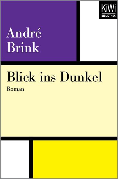 Blick ins Dunkel von André Brink