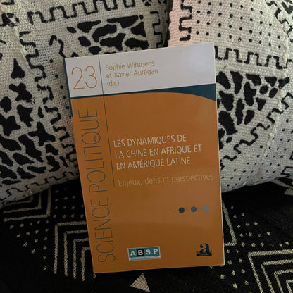 Les dynamiques de la Chine en Afrique et en Amérique latine
