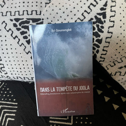 Dans la tempête du Joola de Ari Gounongbe