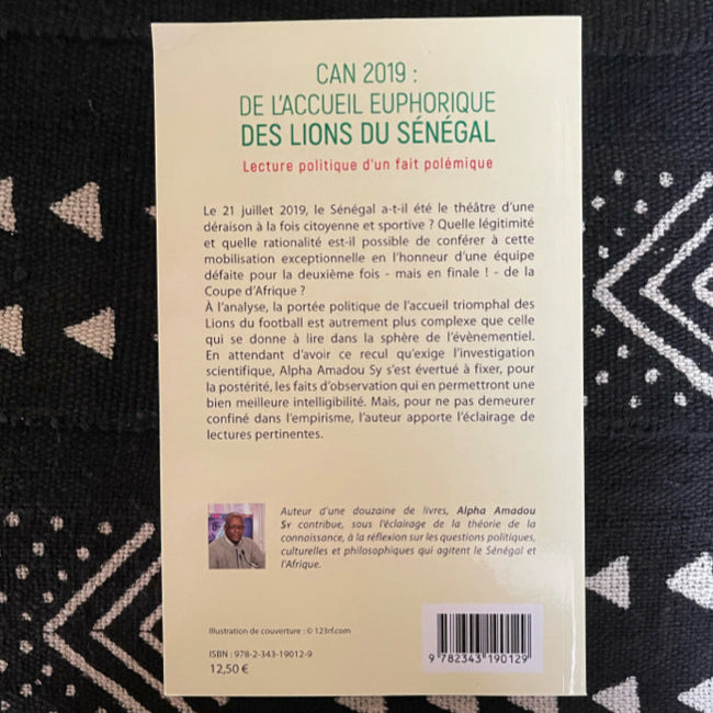 CAN 2019 : de l'accueil euphorique des Lions du Sénégal
