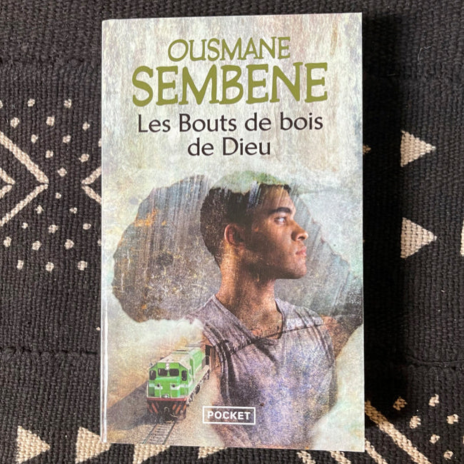 Quatrième de couverture Les bouts de bois de Dieu, résumé et portrait de l'auteur