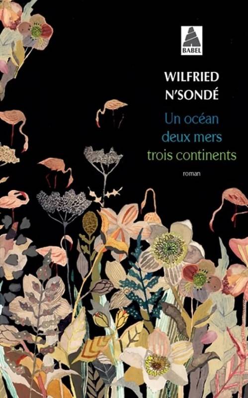 Un océan, deux mers, trois continents | Wilfried N’Sondé