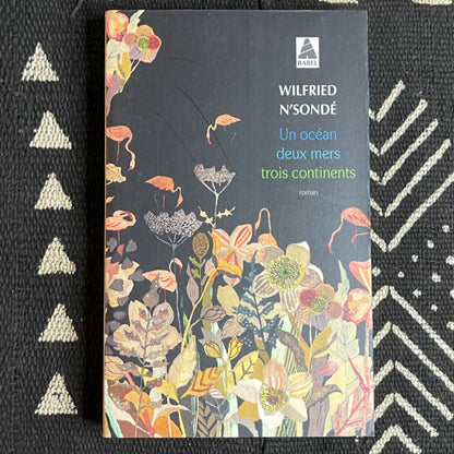Un océan, deux mers, trois continents | Wilfried N’Sondé