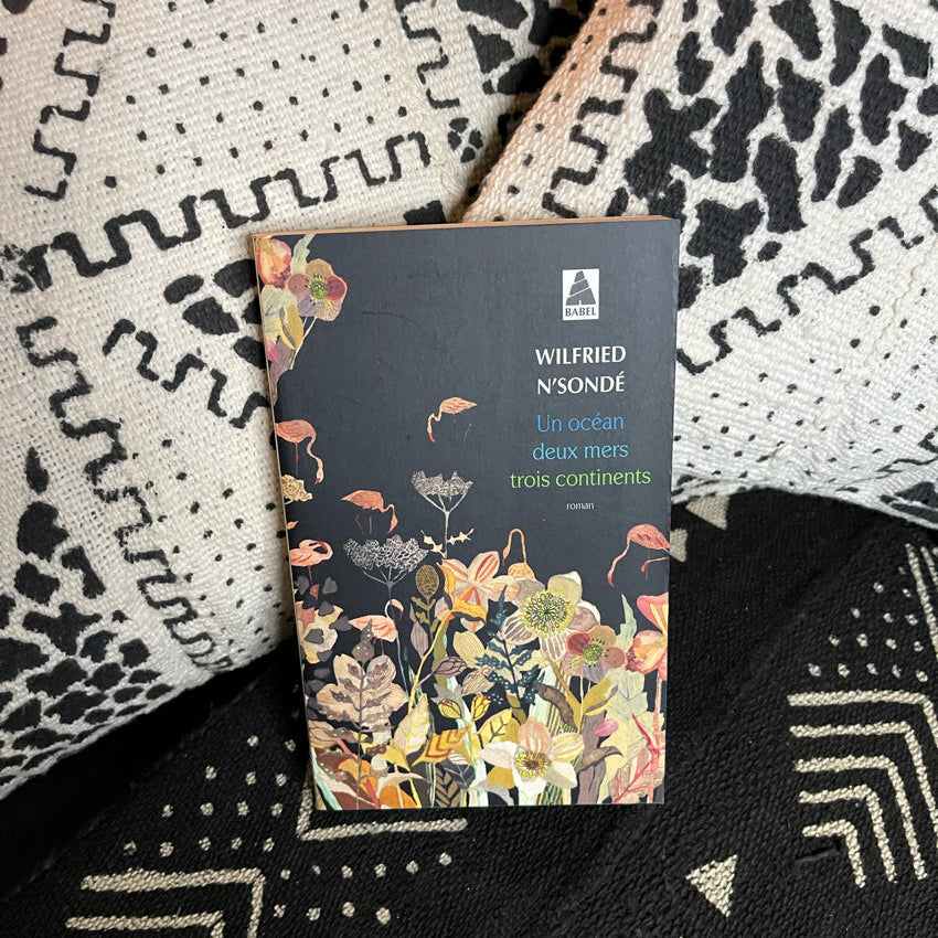Un océan, deux mers, trois continents | Wilfried N’Sondé