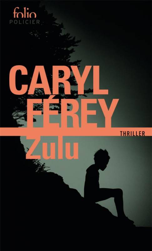 Buchcover Zulu de Caryl Férey