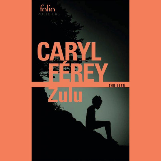 Buchcover Zulu de Caryl Férey
